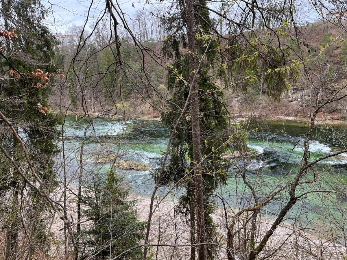 Altstadtjuwel In Gmunden Am Traunsee Εξωτερικό φωτογραφία