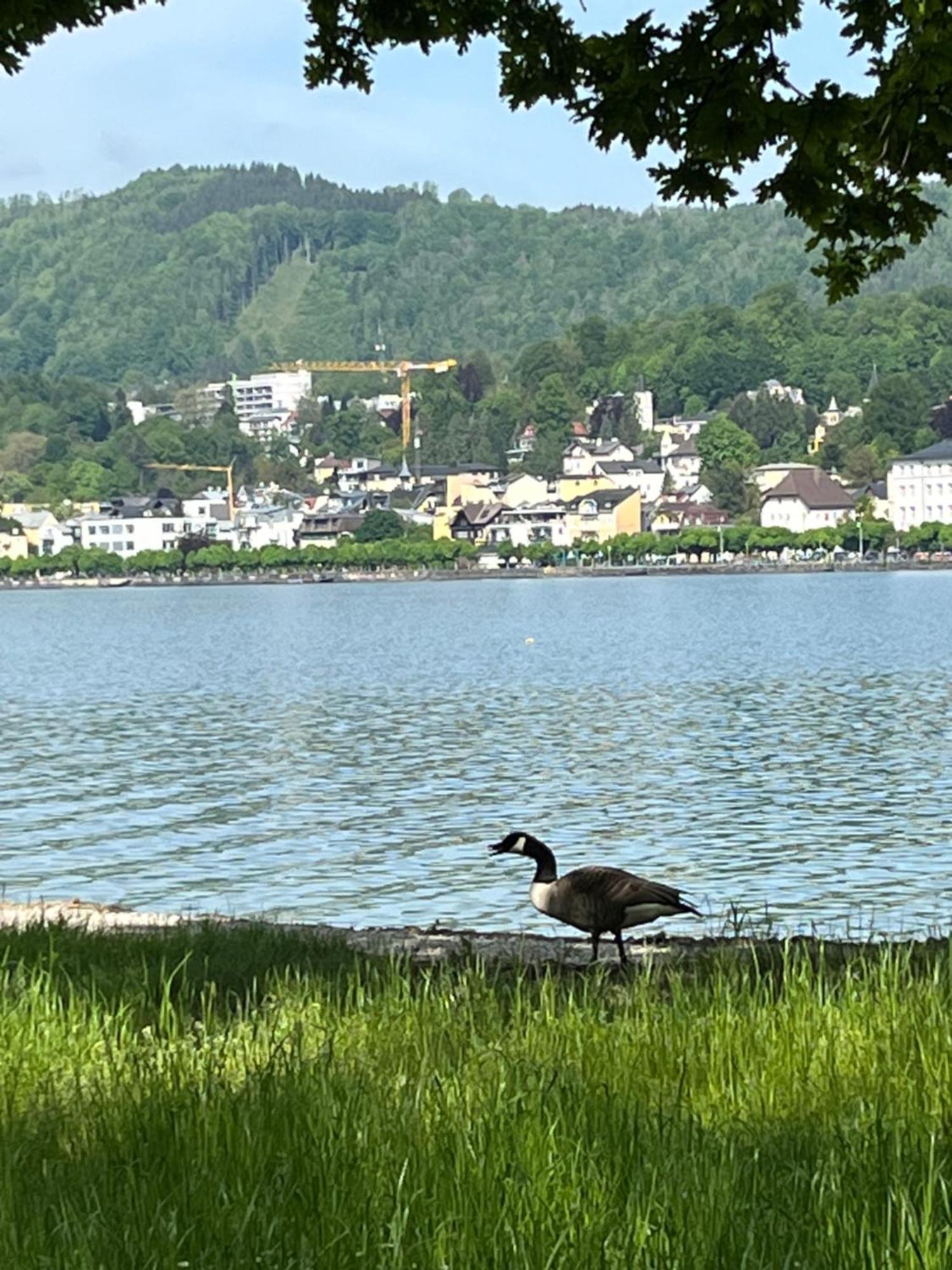 Altstadtjuwel In Gmunden Am Traunsee Εξωτερικό φωτογραφία