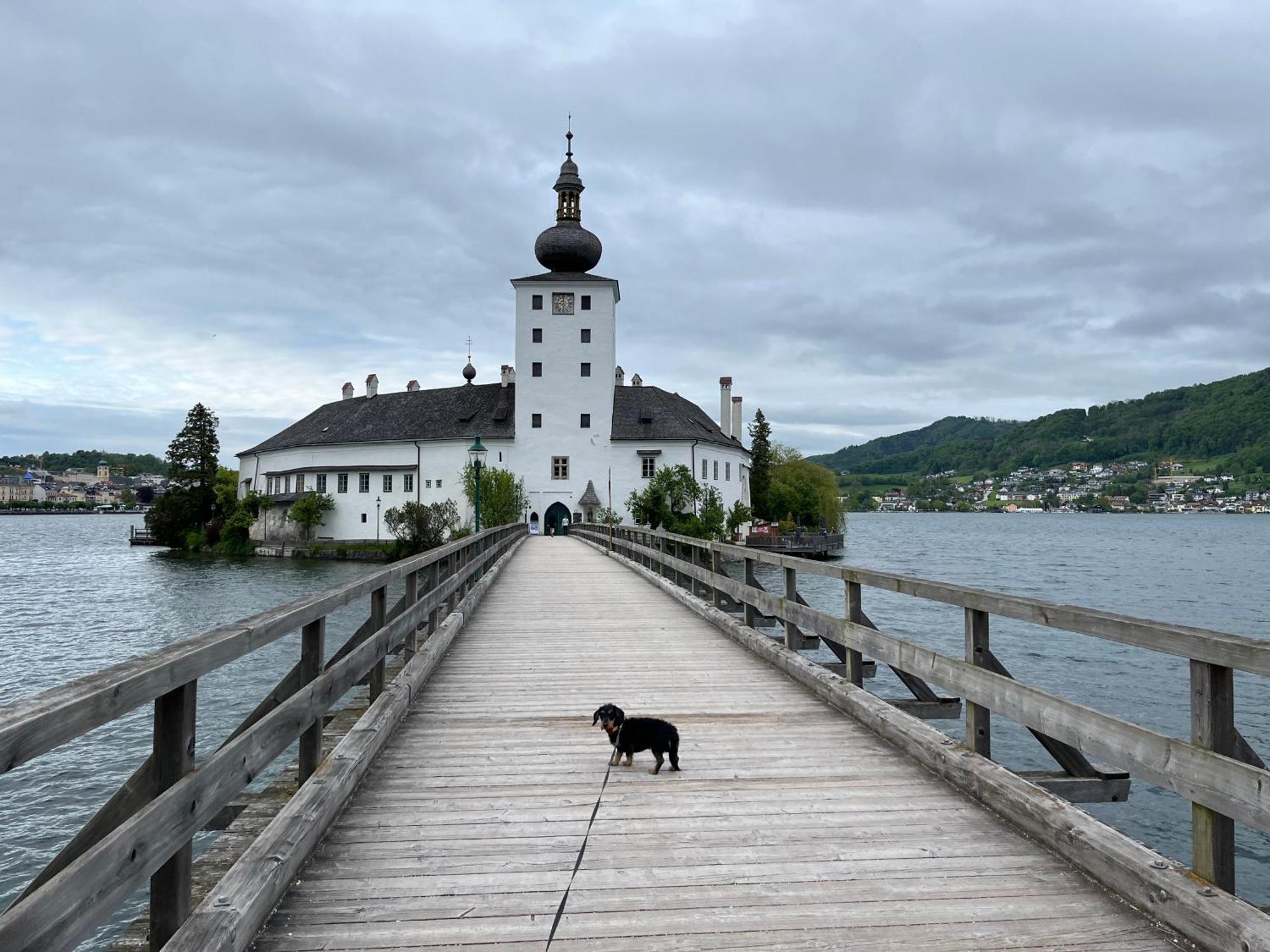 Altstadtjuwel In Gmunden Am Traunsee Εξωτερικό φωτογραφία